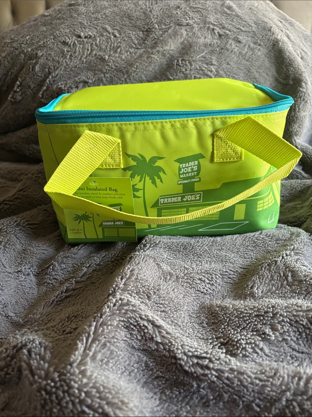 NWT Trader Joe’s lime green and blue mini insulated tote bag ships same day